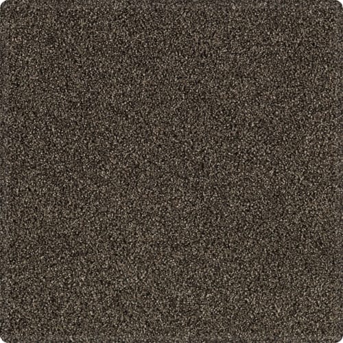 Tranquil Shades in Wrought Iron Carpet