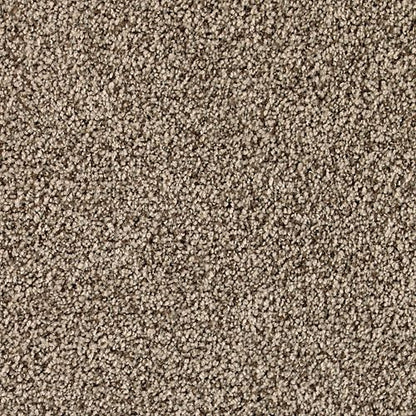 Castle Grounds in Saddle Carpet