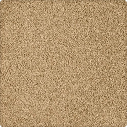 Soft Eloquence in Gondola Carpet