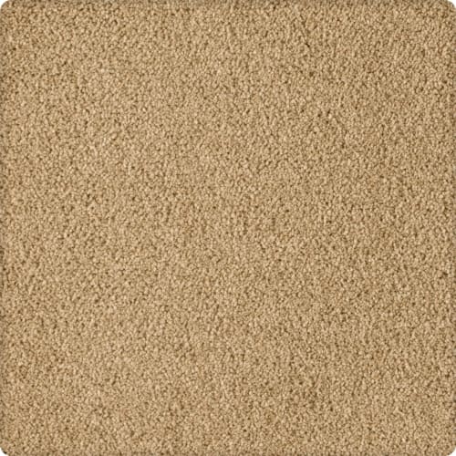 Soft Eloquence in Gondola Carpet