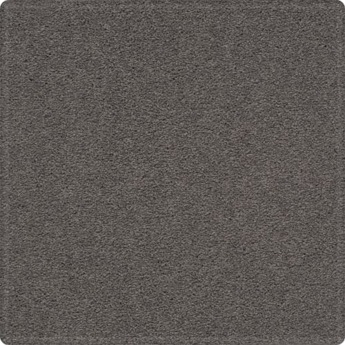 Tempting Appeal in Exquisite Carpet