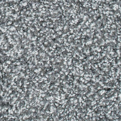 Magnetic Allure