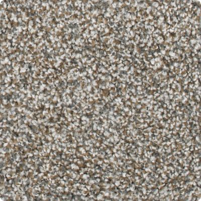 Karastan Ambassador Charismatic Approach Carpet Flooring
