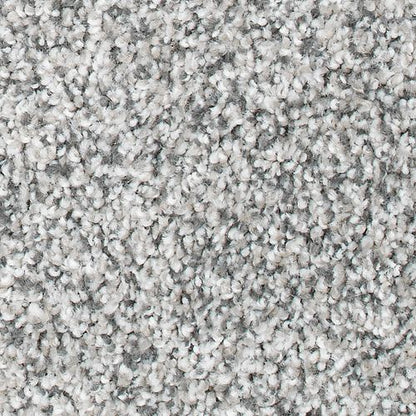 Magnetic Allure in Faint Maple Carpet