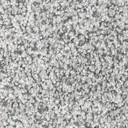 Magnetic Allure in Faint Maple Carpet