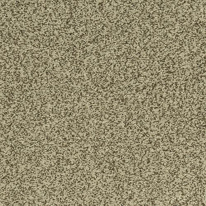Modern View in Pashmina Carpet