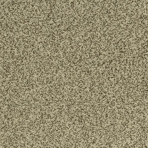 Modern View in Pashmina Carpet