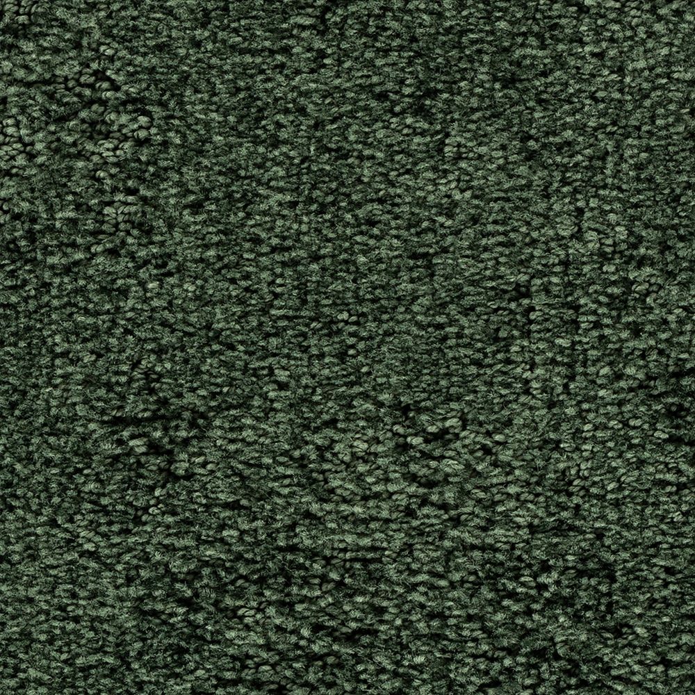 Intriguing Allure