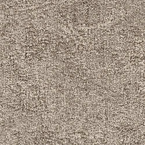 Intriguing Allure in Antique Pearl Carpet