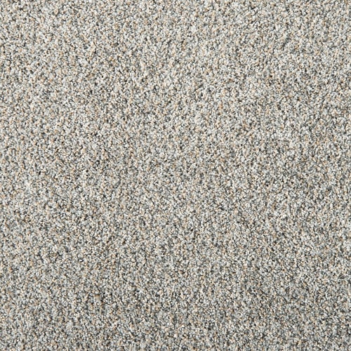 Leon in Pascal Carpet