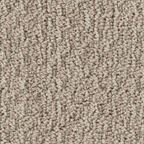 Tryesse Pro - Strong Intuition in Oat Bread Carpet