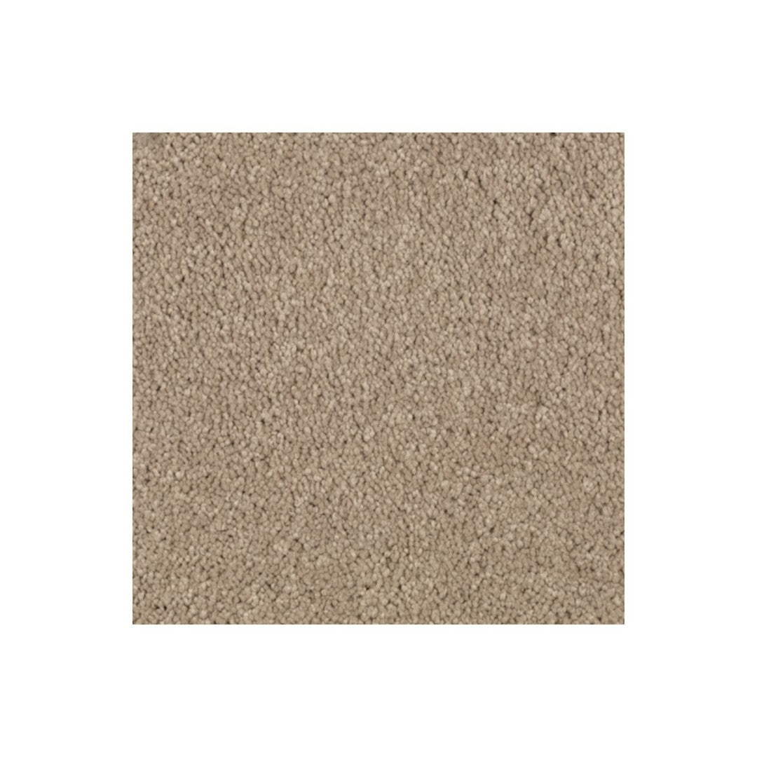 Nature's Charm I in Hearth Beige