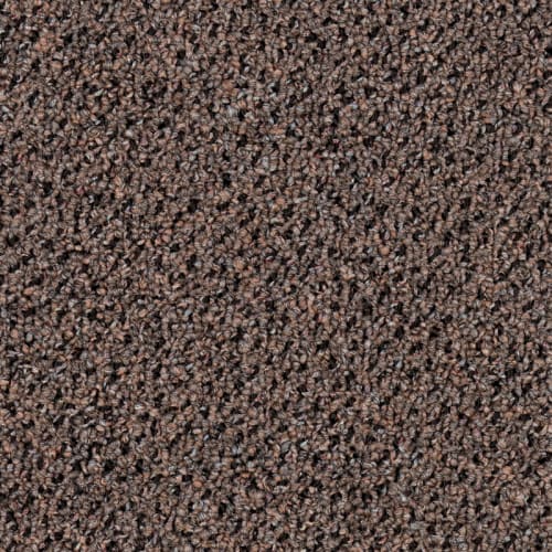 Mainstreet InnoFibe - Supplement II 28 in Omaha Brown Carpet