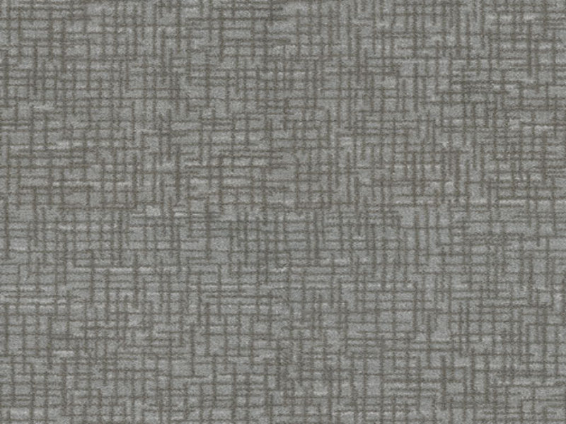 Imagine -  Graydon in Concrete