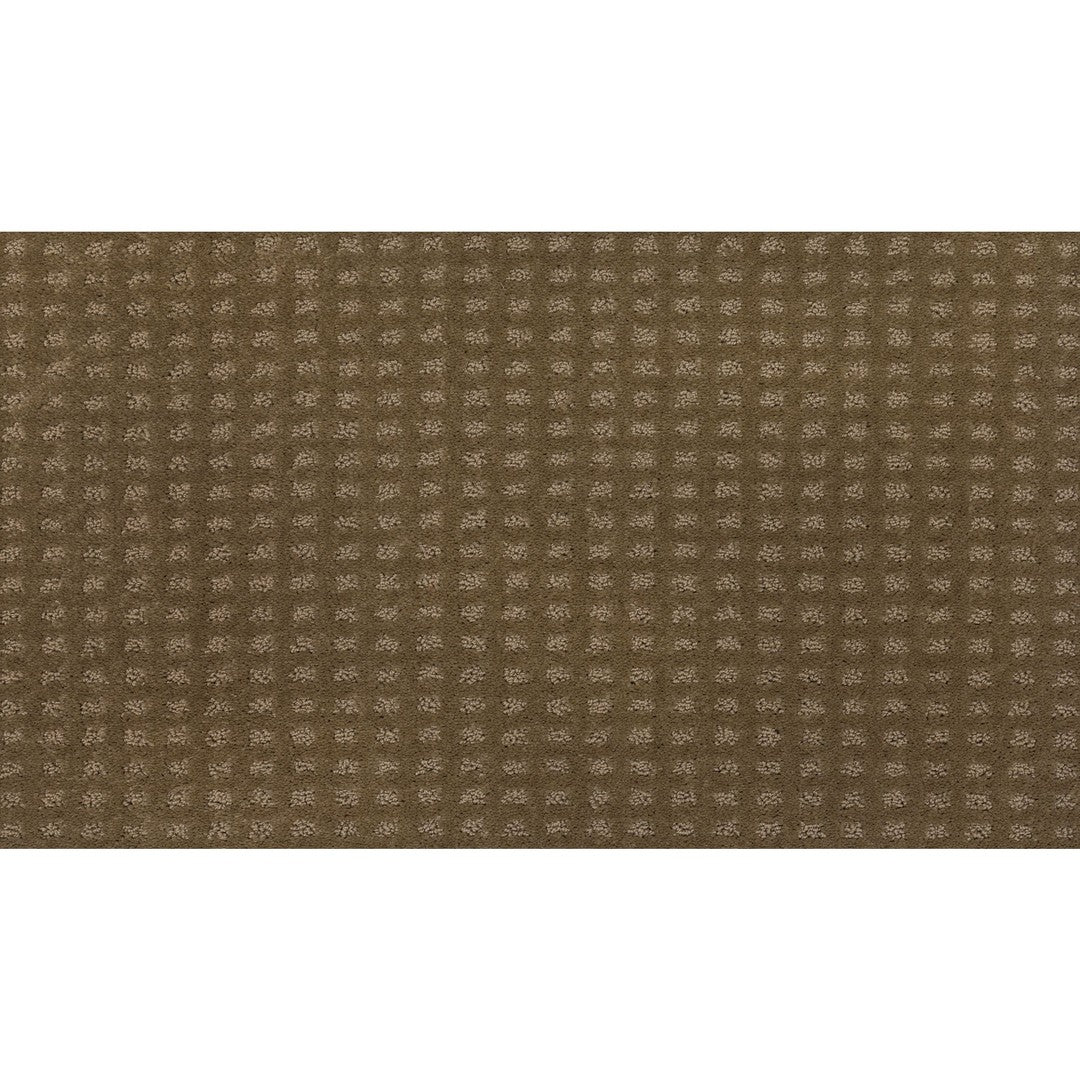 Popular Appearance in Rococo Beige