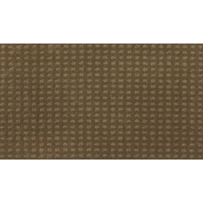 Popular Appearance in Rococo Beige