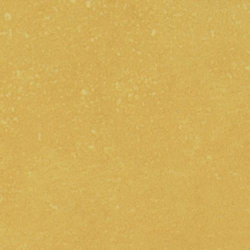 Portfolio - Vivid