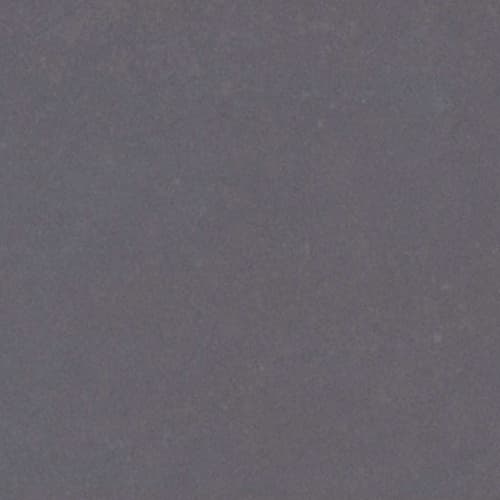 Portfolio - Vivid