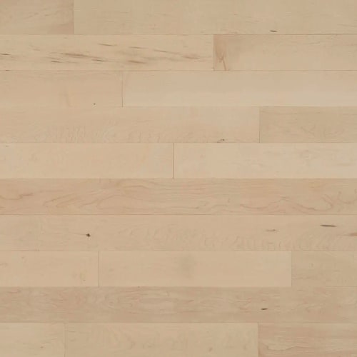 Pure Hard Maple - Solid