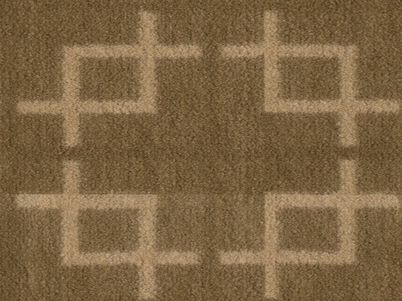 Imagine -  Network in Sable