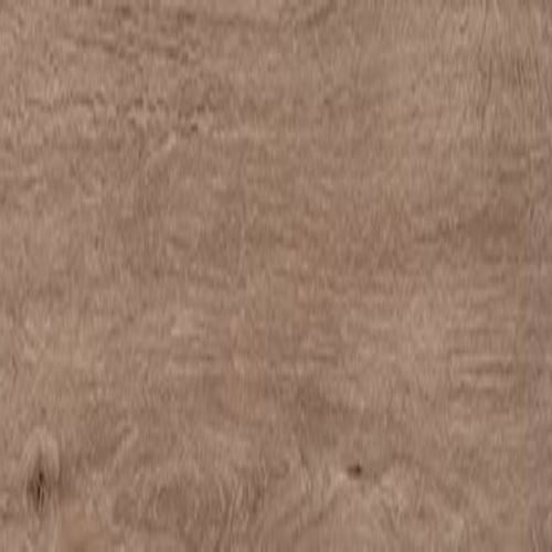 ProSeries - Pines Terrace - 20 mil in Ginger Luxury Vinyl