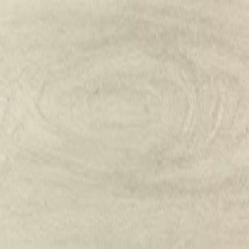 ProSeries - Pines Terrace - 20 mil in Birch Luxury Vinyl
