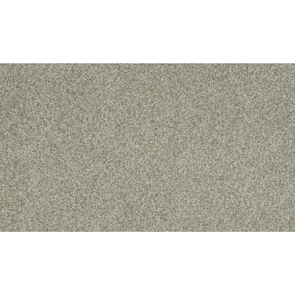 Modern Portfolio in Stepping Stone