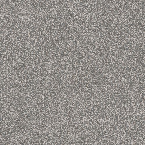Candler Park in Tudor Carpet