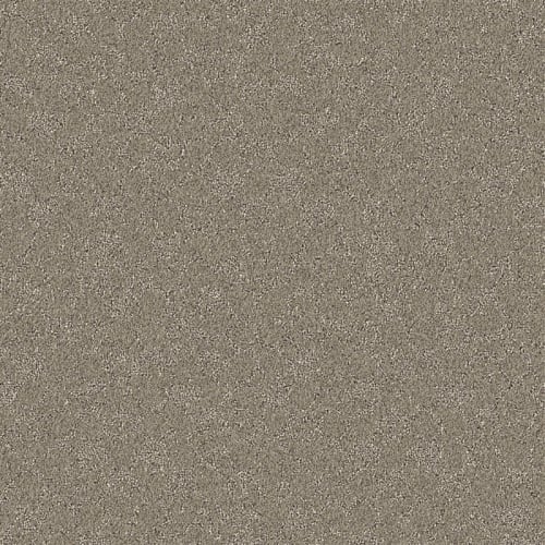 Nyluxe Petguard - Cloudscape in Partridge Brown Carpet