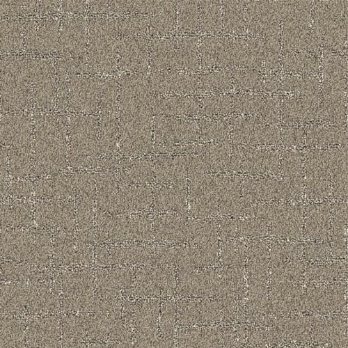 Nyluxe Petguard - Nightscape
