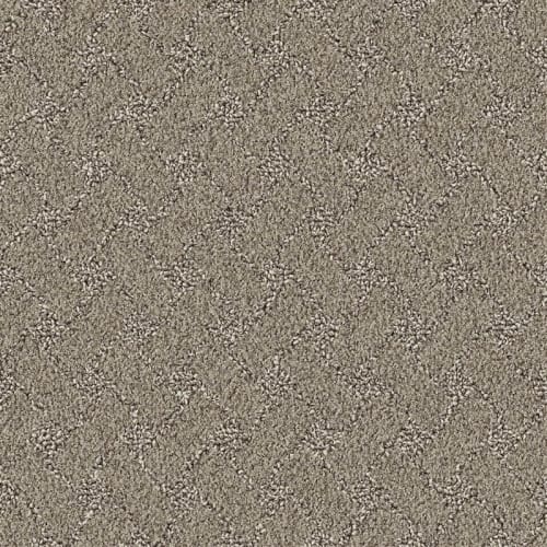 Nyluxe Petguard - Snowscape in Partridge Brown Carpet