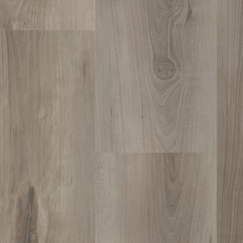 Progen in Mirage Xl Terre Luxury Vinyl