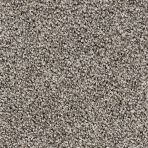 Tryesse Pro - Peak Point in Putty Grey Carpet