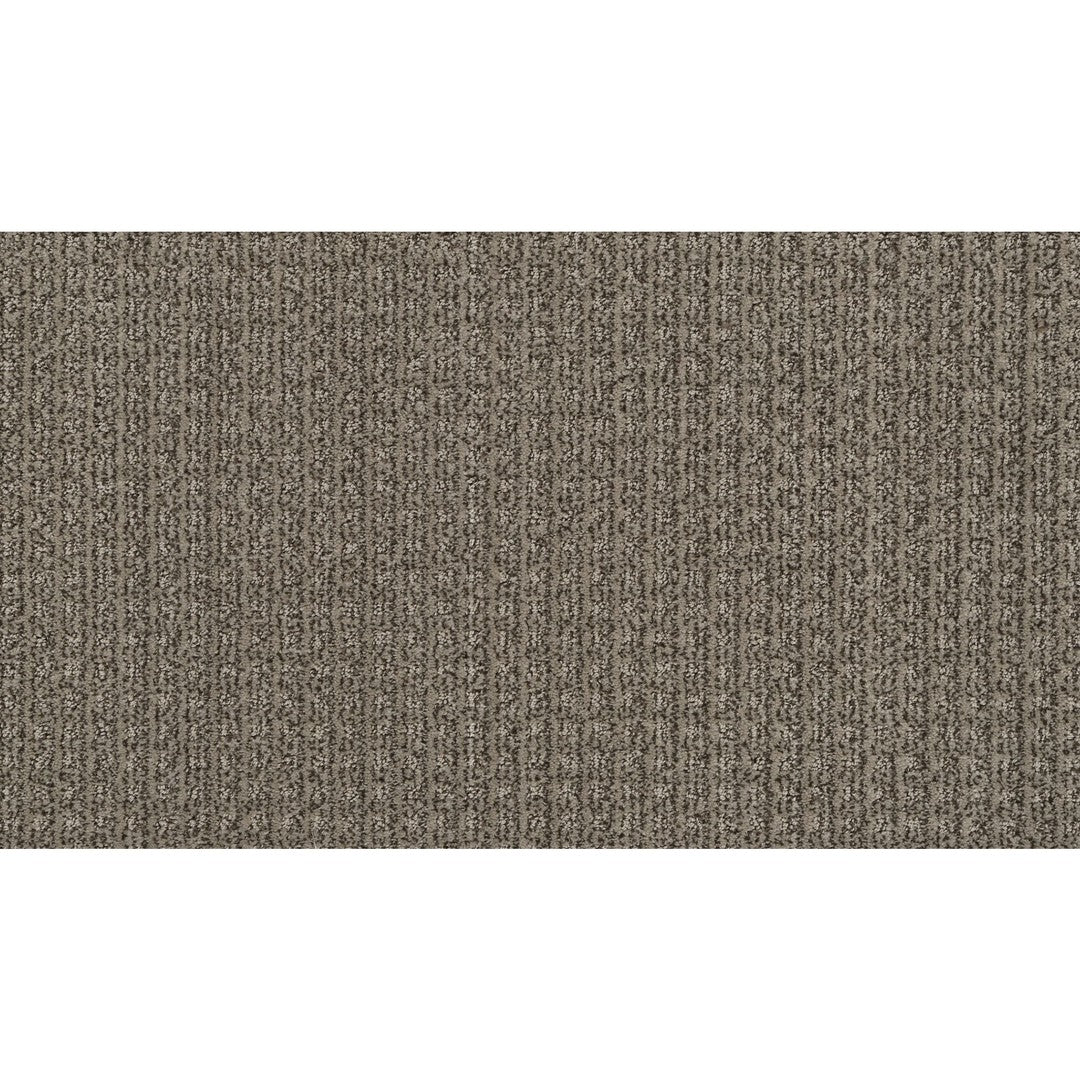 Pleasant Simplicity in Acorn Trail