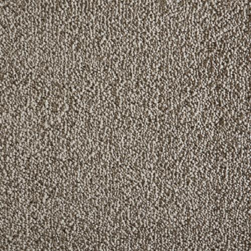 Avantgarde - Shaggy Grove in Oyster