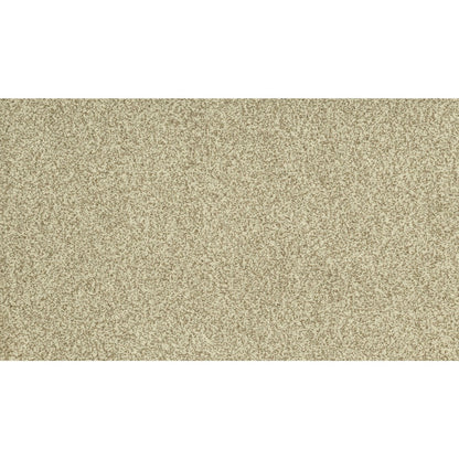 Modern Portfolio in Sugar Dust
