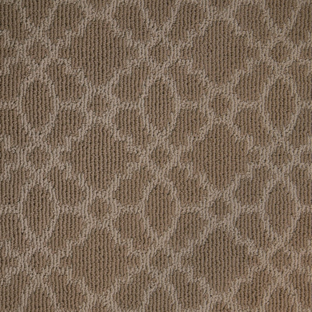 Monarch in Sandstone