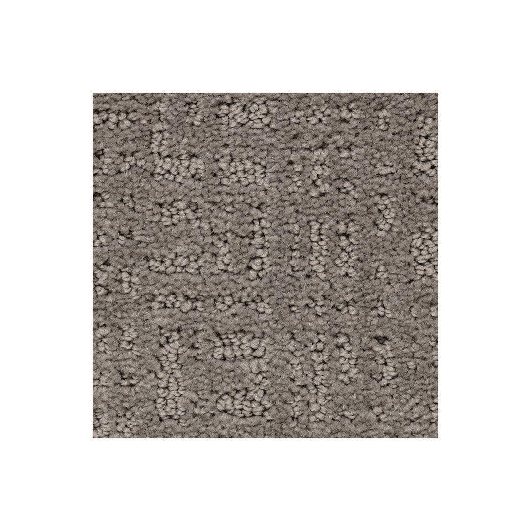 Sleek Luxury in Griffin