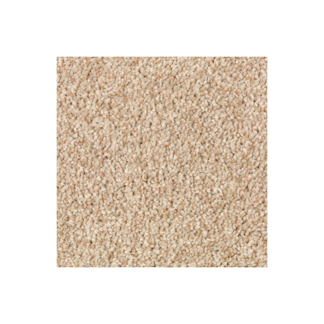 Natural Accents I in Beechnut