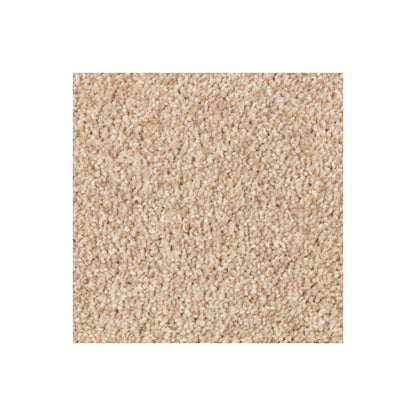 Natural Accents I in Beechnut