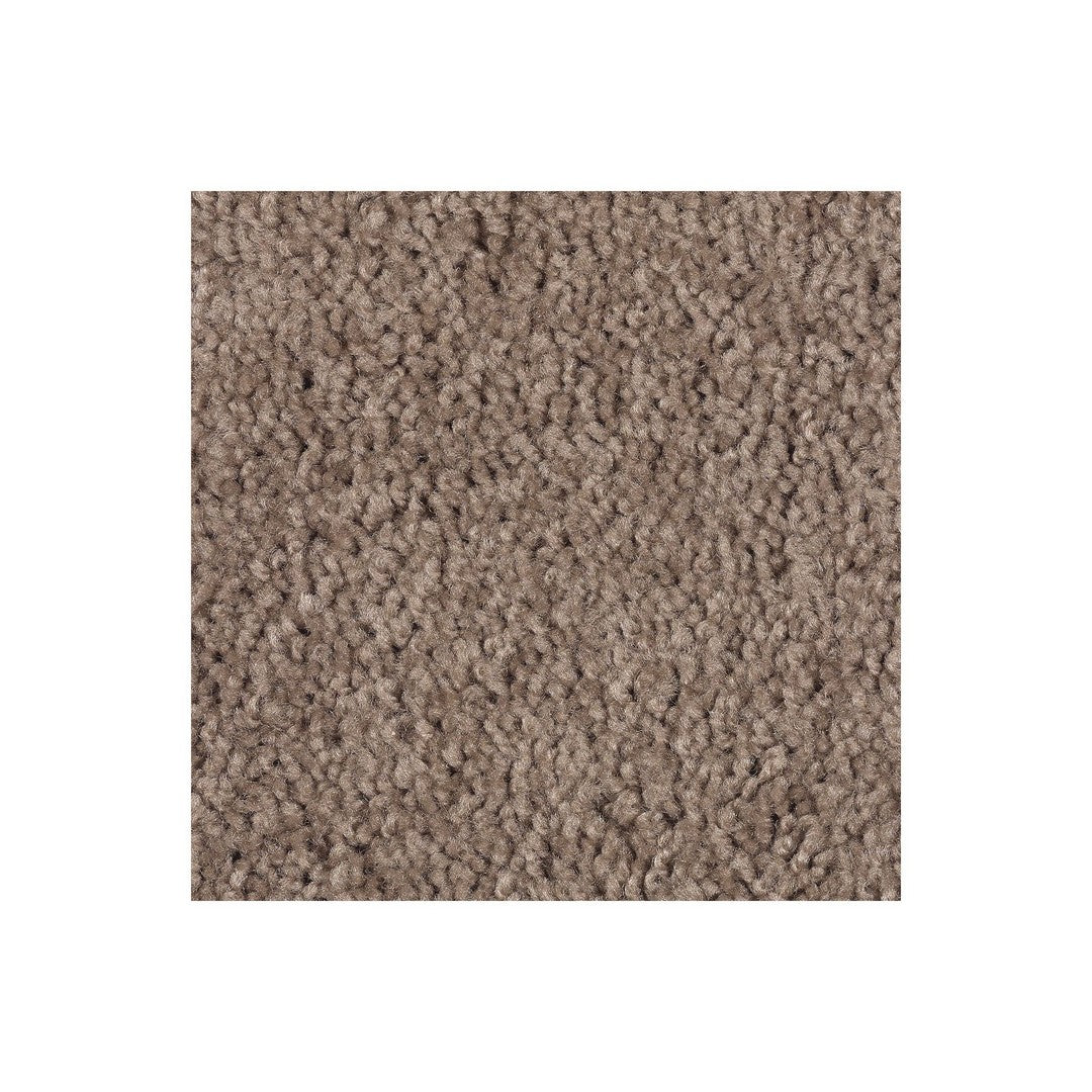 Timeless Idea in Dried Peat