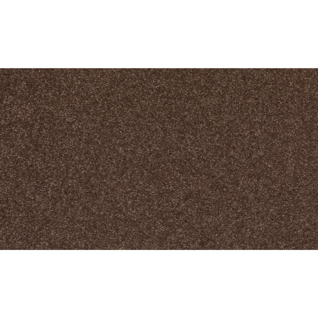 Radiant Surface in Chocolate Chip