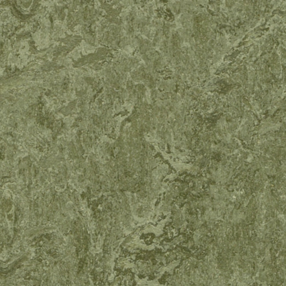 Marmoleum - Cinch Loc Seal in Pine Forest