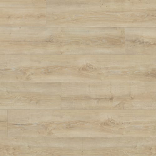 Atomic Xtra in Rhodium Xtra Laminate