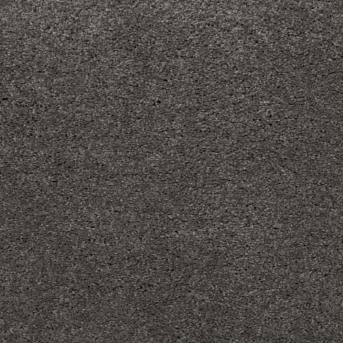 Simply Amazing in Shipwreck Carpet