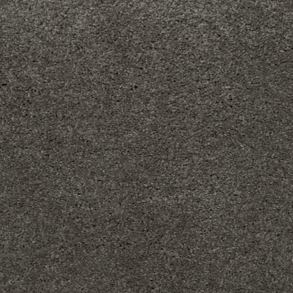 Simply Amazing in Shipwreck Carpet