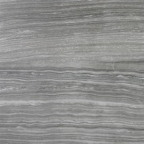 Algonquin Limestone in Carbon - 12x24 Tile