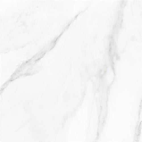 Marmo in Statuario Polished - 12x24 Tile