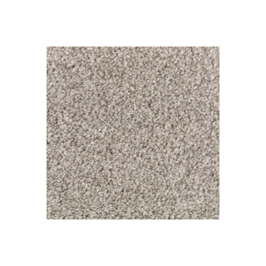 Natural Accents II in Taupe Illusion