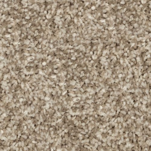 Tryesse - Cosy Ambiance in Sand Martin Carpet